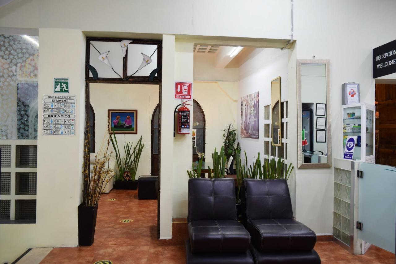 Hostel Plaza Mayor Мехіко Екстер'єр фото